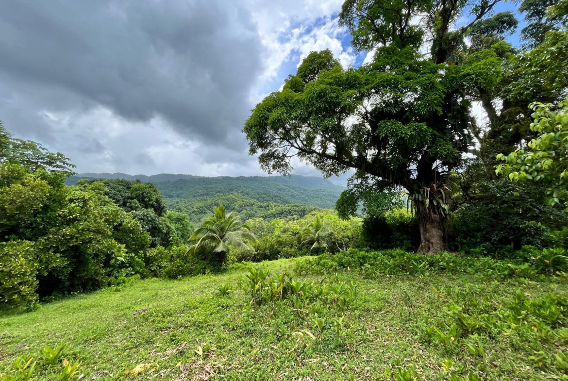 Fifth image of 116 & 117 Windsor, Rio Grande Pa, p in Windsor, Portland, Jamaica - property is For Sale