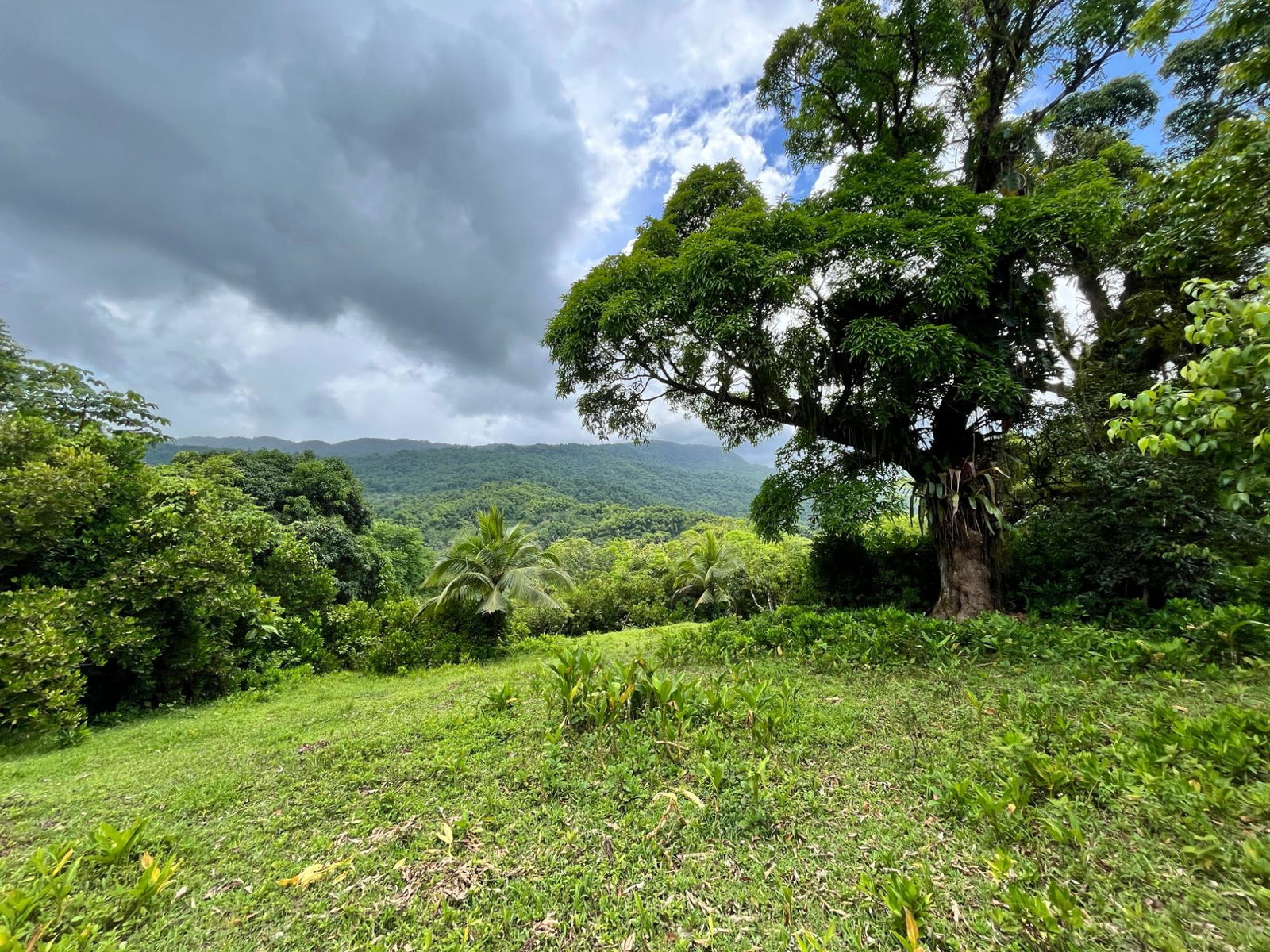 Fifth image of 116 & 117 Windsor, Rio Grande Pa, p in Windsor, Portland, Jamaica - property is For Sale