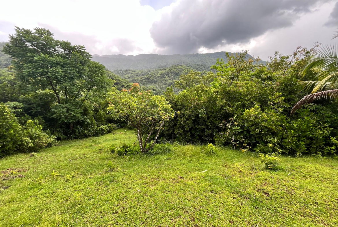 Sixth image of 116 & 117 Windsor, Rio Grande Pa, p in Windsor, Portland, Jamaica - property is For Sale