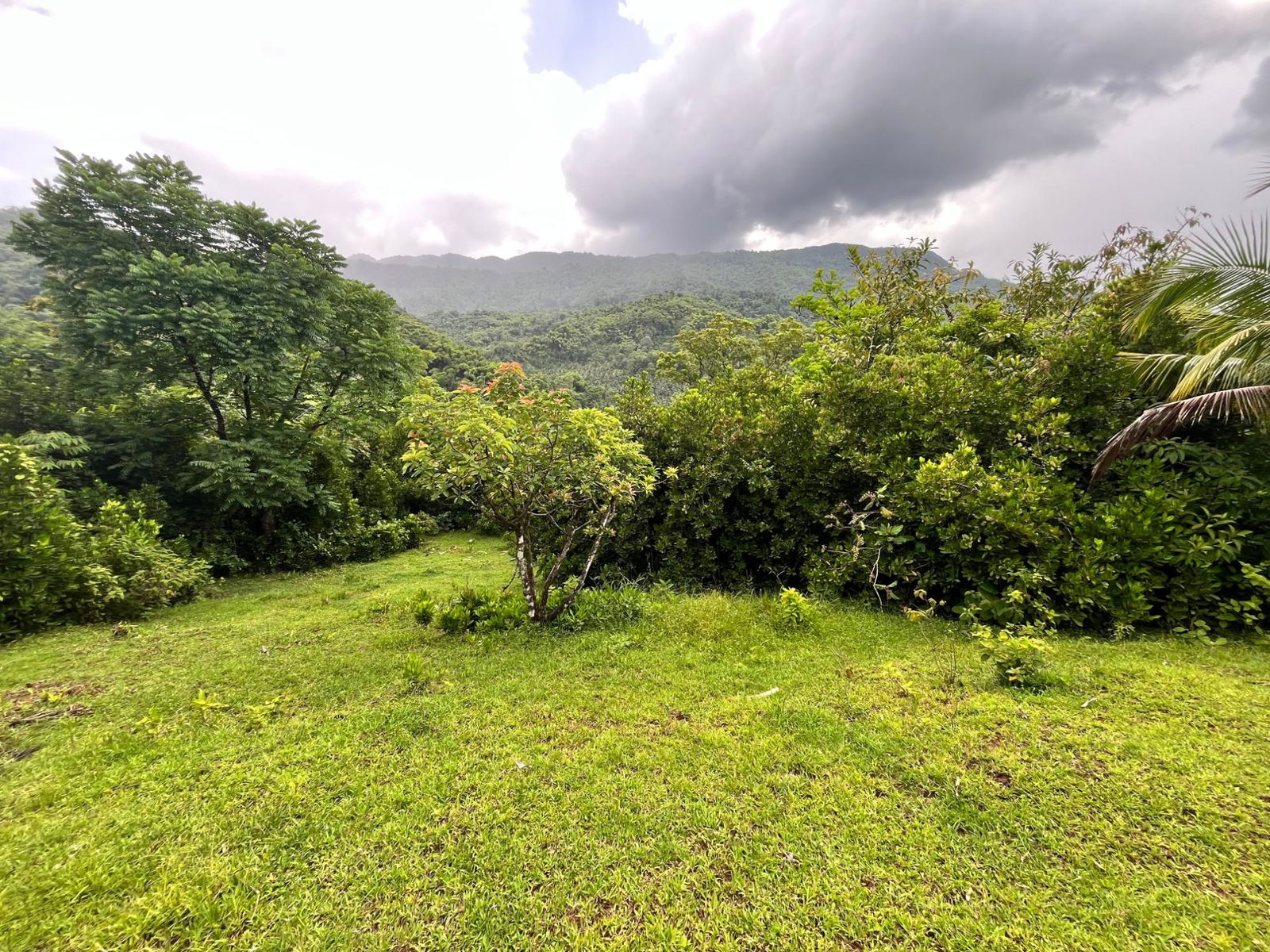 Sixth image of 116 & 117 Windsor, Rio Grande Pa, p in Windsor, Portland, Jamaica - property is For Sale
