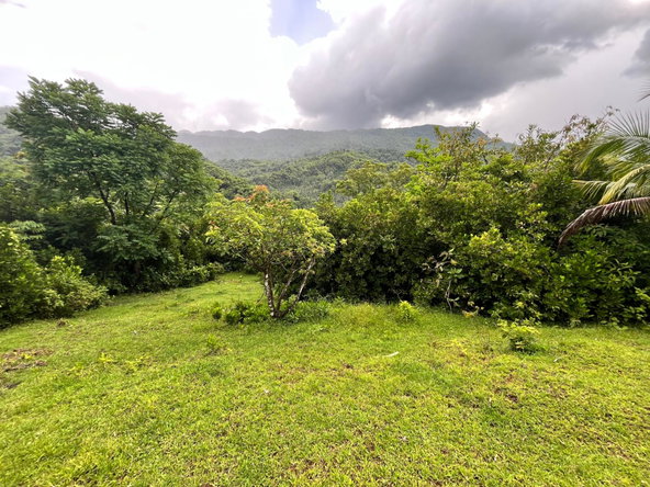 Sixth image of 116 & 117 Windsor, Rio Grande Pa, p in Windsor, Portland, Jamaica - property is For Sale