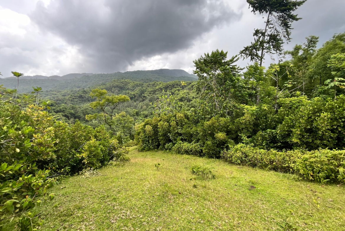 Seventh image of 116 & 117 Windsor, Rio Grande Pa, p in Windsor, Portland, Jamaica - property is For Sale