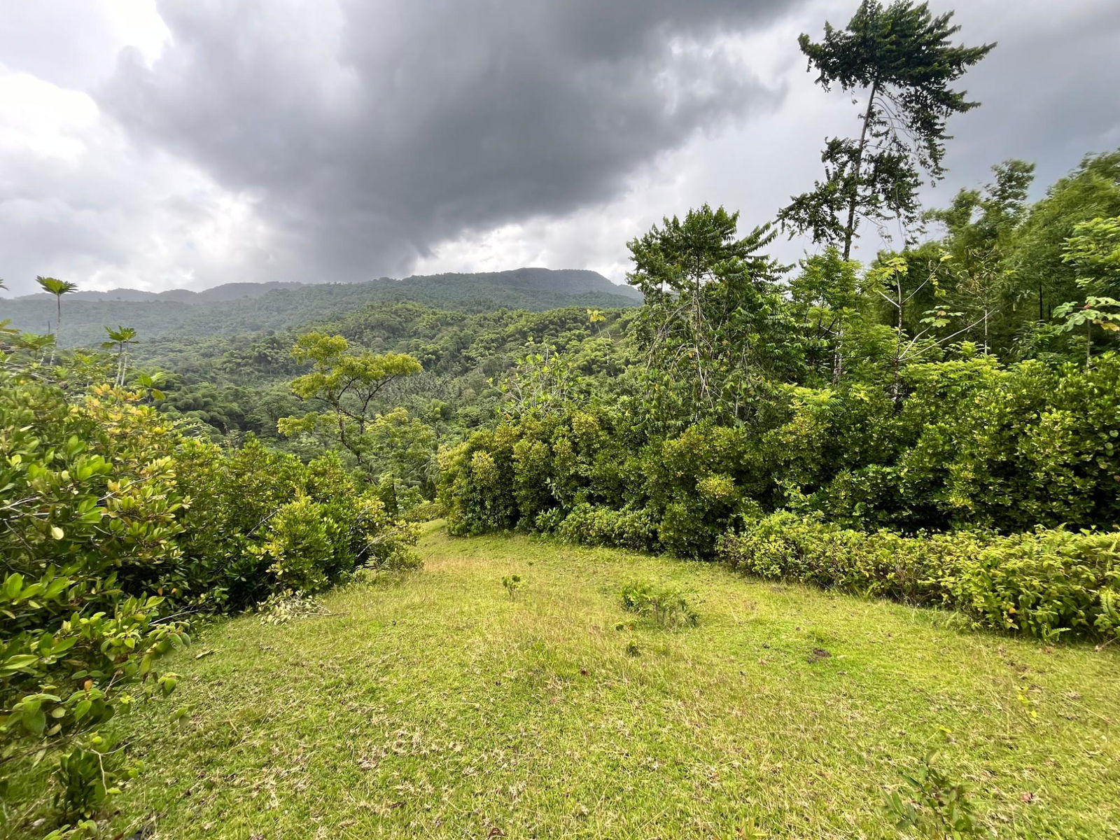 Seventh image of 116 & 117 Windsor, Rio Grande Pa, p in Windsor, Portland, Jamaica - property is For Sale