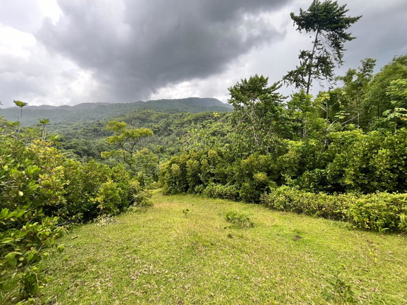 Seventh image of 116 & 117 Windsor, Rio Grande Pa, p in Windsor, Portland, Jamaica - property is For Sale
