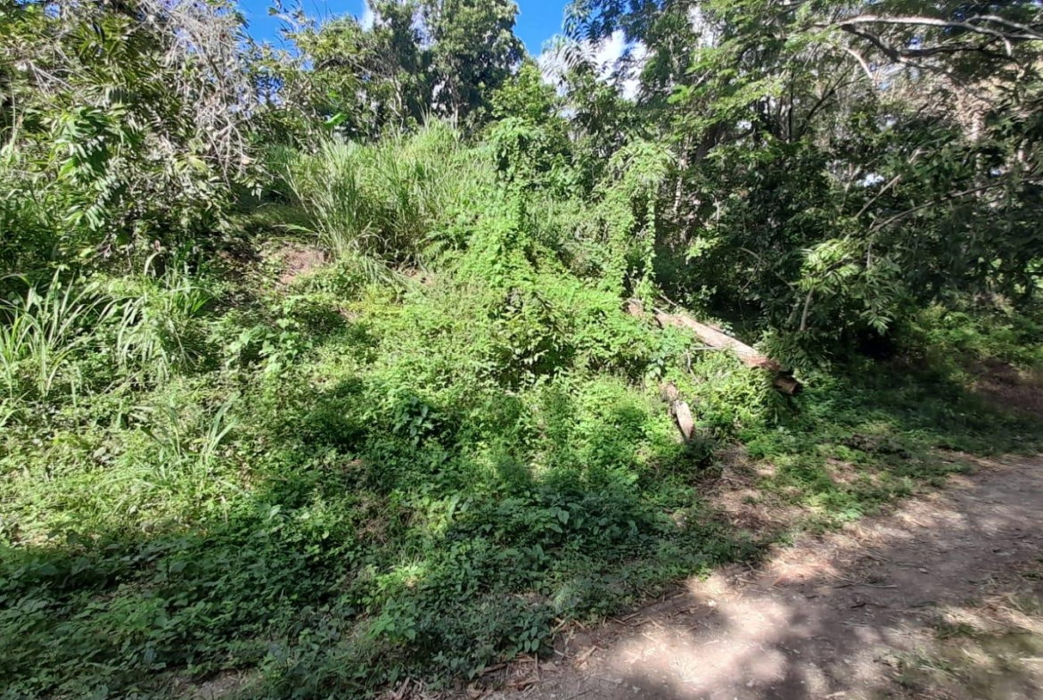 Thirteenth image of Green Castle, Robin's Bay in Robins Bay, St. Mary, Jamaica - property is For Sale