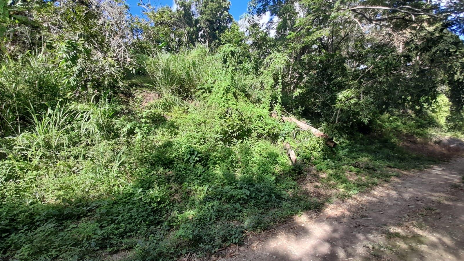 Thirteenth image of Green Castle, Robin's Bay in Robins Bay, St. Mary, Jamaica - property is For Sale
