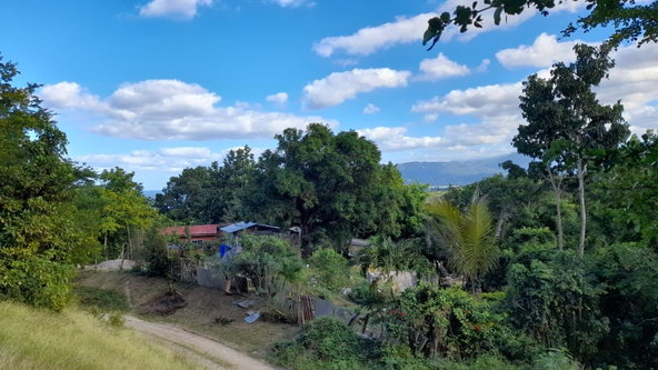 Fourteenth image of Green Castle, Robin's Bay in Robins Bay, St. Mary, Jamaica - property is For Sale