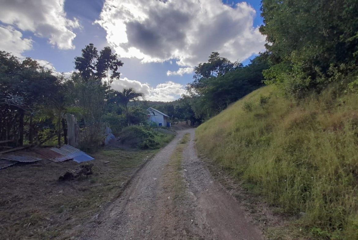 Fifteenth image of Green Castle, Robin's Bay in Robins Bay, St. Mary, Jamaica - property is For Sale
