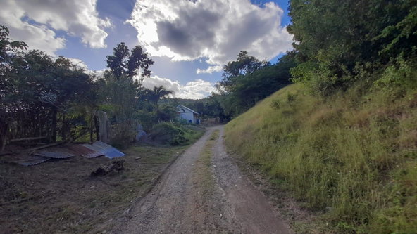 Fifteenth image of Green Castle, Robin's Bay in Robins Bay, St. Mary, Jamaica - property is For Sale