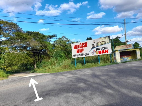 First image of Green Castle, Robin's Bay in Robins Bay, St. Mary, Jamaica - property is For Sale