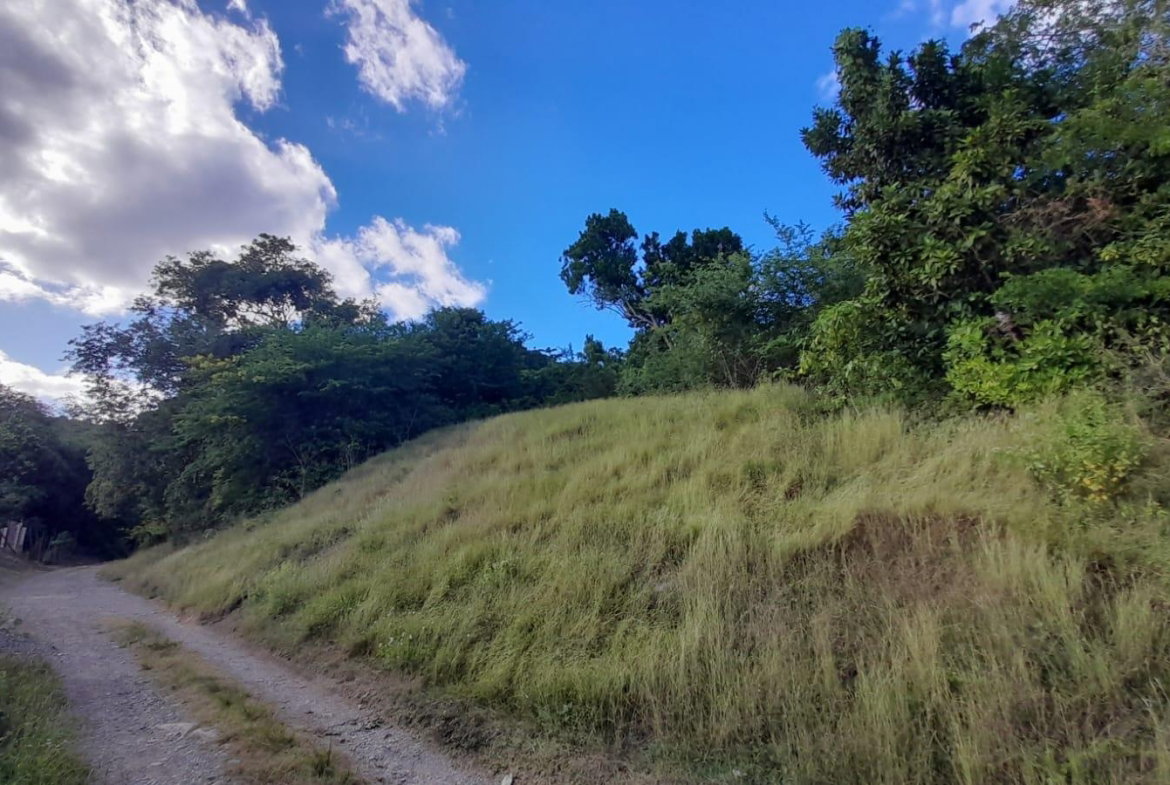 Eighth image of Green Castle, Robin's Bay in Robins Bay, St. Mary, Jamaica - property is For Sale