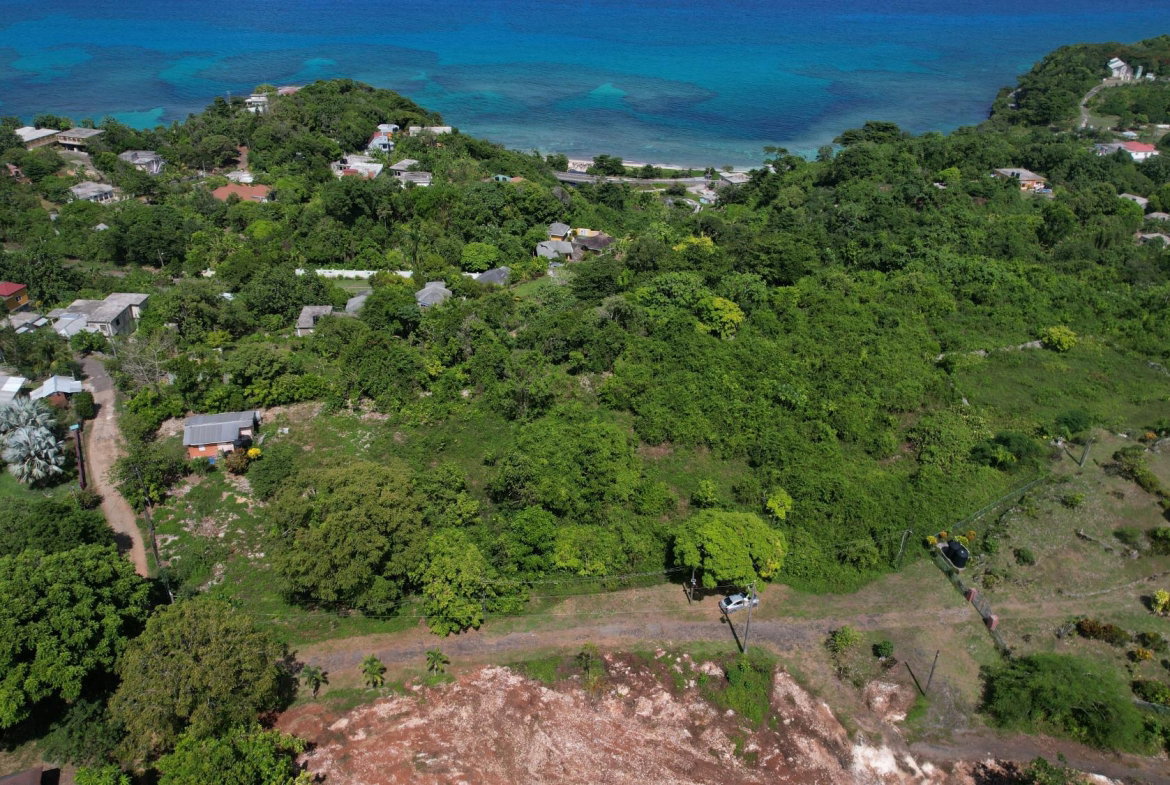First image of Lot 10c Rose Garden in Long Bay, Portland, Jamaica - property is For Sale