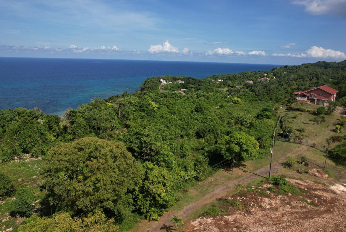 Third image of Lot 10c Rose Garden in Long Bay, Portland, Jamaica - property is For Sale