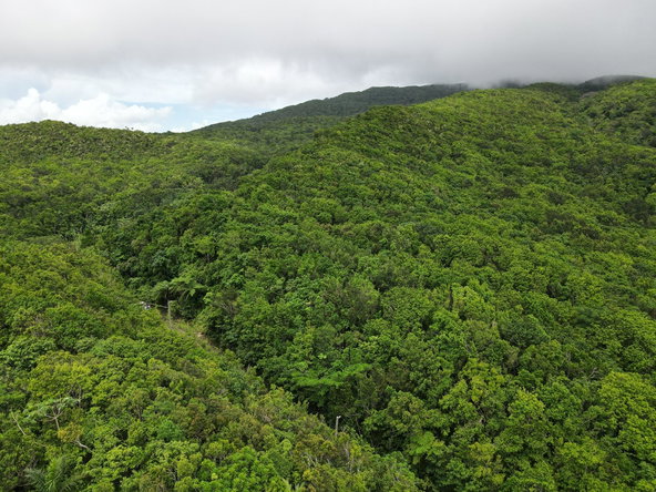 Second image of 186 Rowlandsfield in Rowlandsfield, St. Thomas, Jamaica - property is For Sale