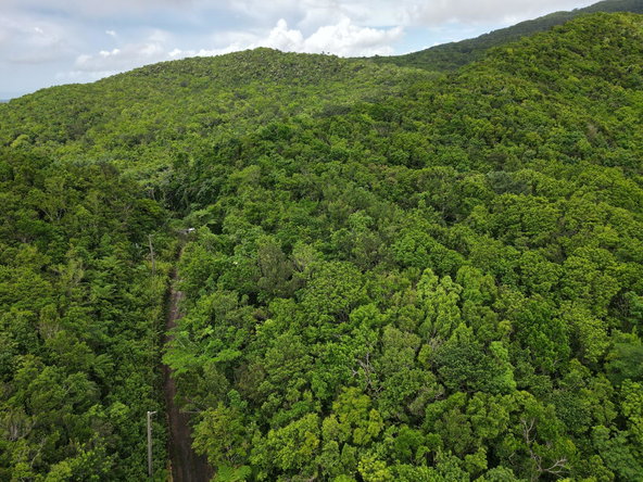 Third image of 186 Rowlandsfield in Rowlandsfield, St. Thomas, Jamaica - property is For Sale