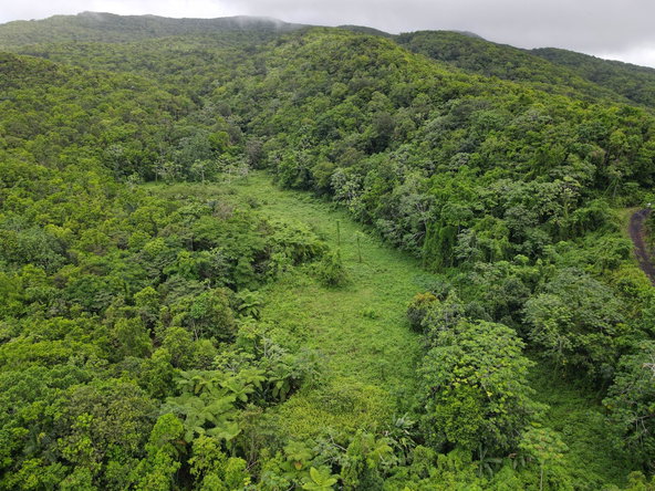 Sixth image of 186 Rowlandsfield in Rowlandsfield, St. Thomas, Jamaica - property is For Sale