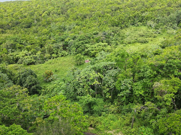 Eighth image of 186 Rowlandsfield in Rowlandsfield, St. Thomas, Jamaica - property is For Sale