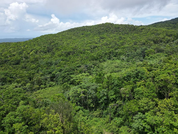 Ninth image of 186 Rowlandsfield in Rowlandsfield, St. Thomas, Jamaica - property is For Sale