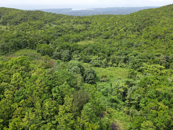 Tenth image of 186 Rowlandsfield in Rowlandsfield, St. Thomas, Jamaica - property is For Sale