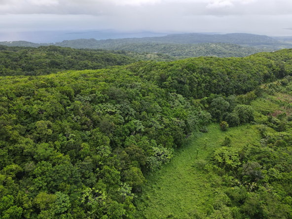 First image of 186 Rowlandsfield in Rowlandsfield, St. Thomas, Jamaica - property is For Sale