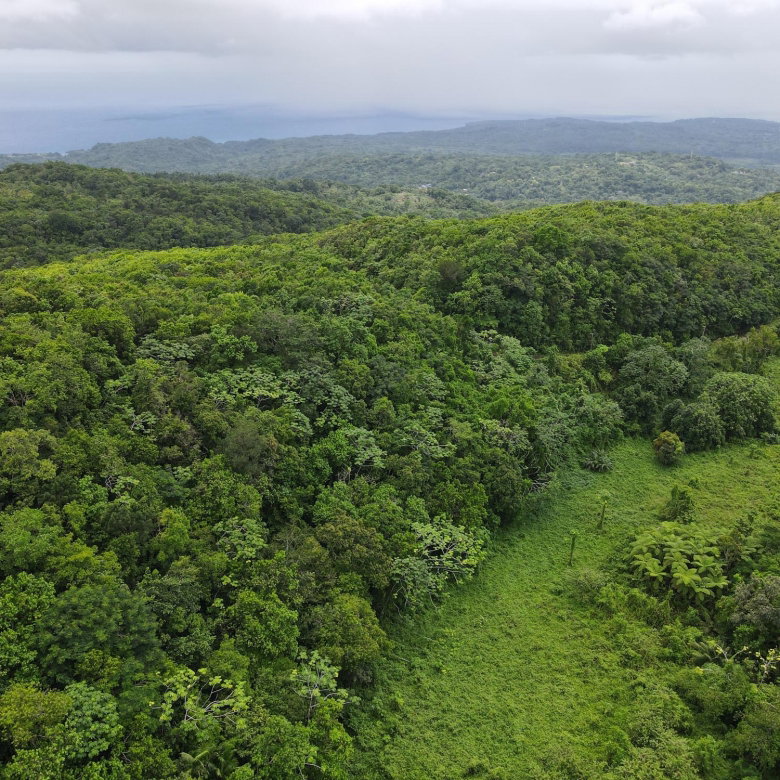 First image of 198 Rowlandsfield in Rowlandsfield, St. Thomas, Jamaica - property is For Sale