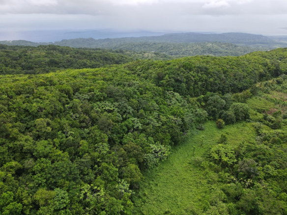 First image of 197 Rowlandsfield in Rowlandsfield, St. Thomas, Jamaica - property is For Sale