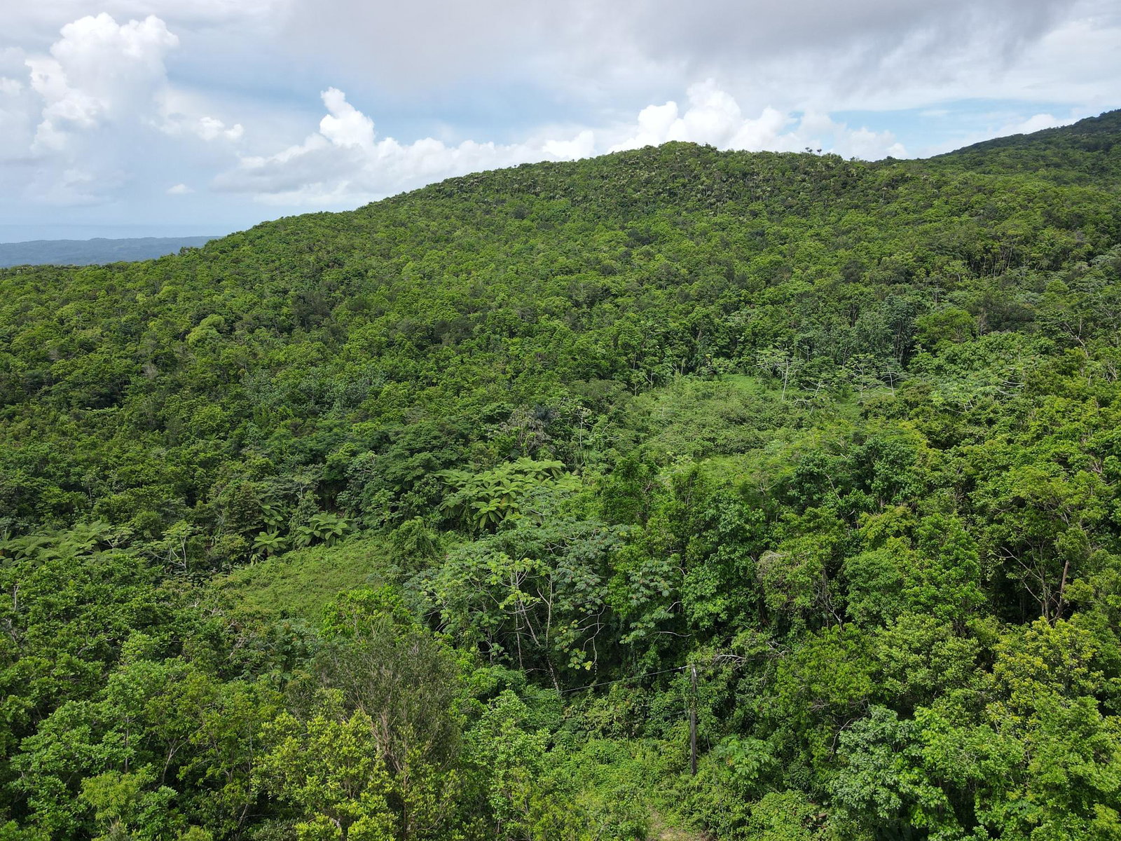 Second image of 199 Rowlandsfield in Rowlandsfield, St. Thomas, Jamaica - property is For Sale