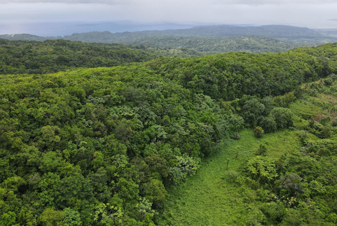 Eleventh image of 199 Rowlandsfield in Rowlandsfield, St. Thomas, Jamaica - property is For Sale