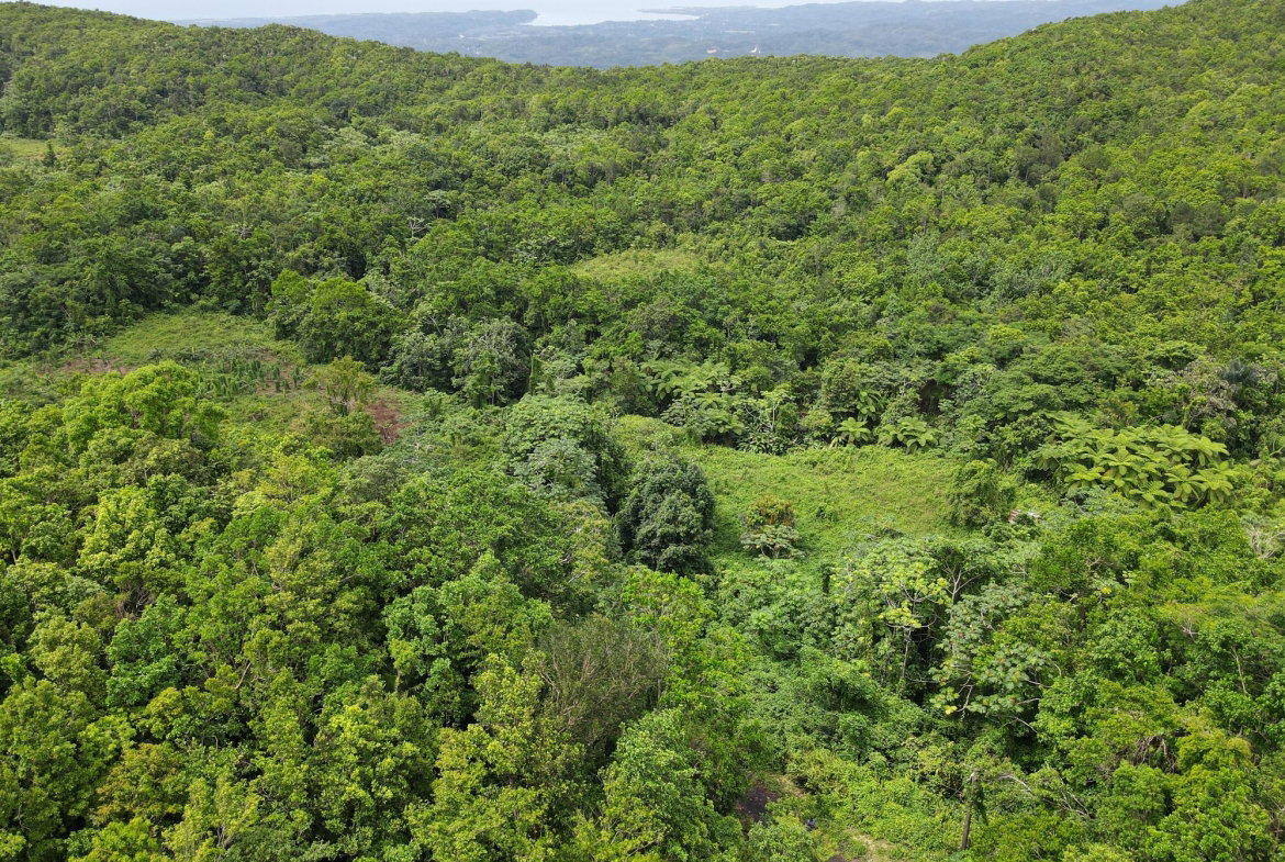 First image of 199 Rowlandsfield in Rowlandsfield, St. Thomas, Jamaica - property is For Sale