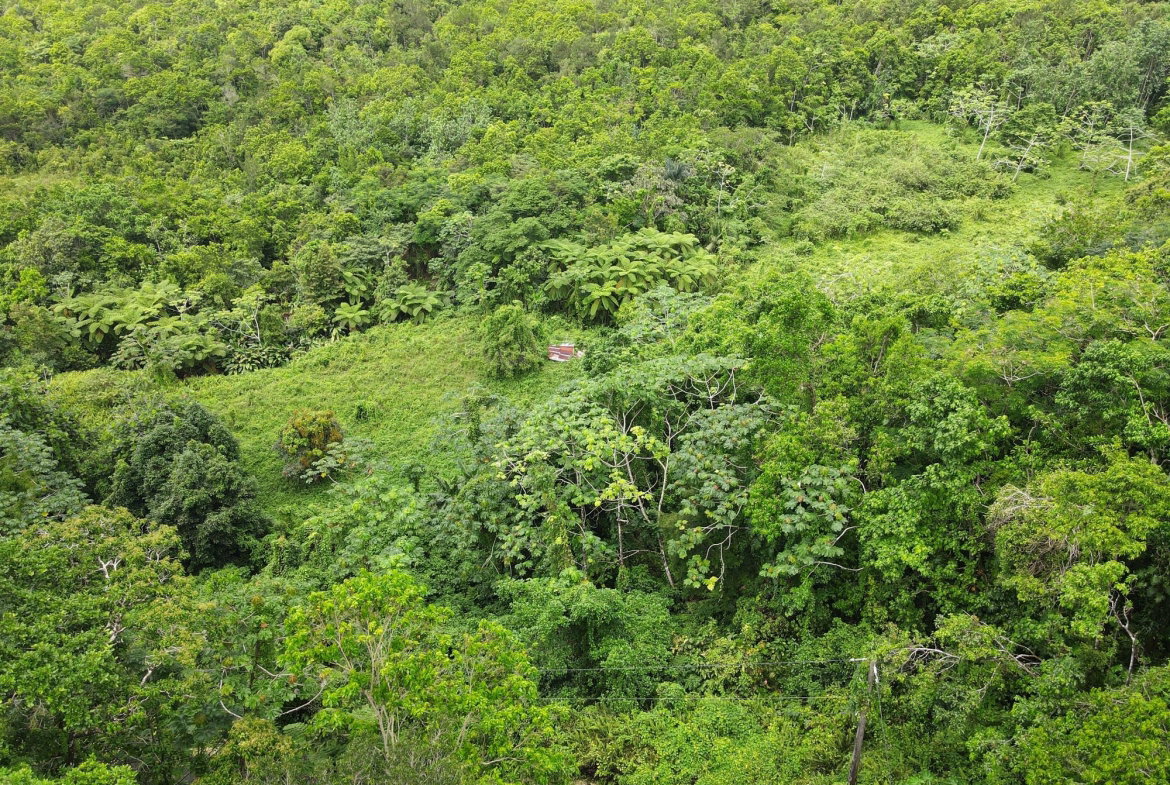 Third image of 199 Rowlandsfield in Rowlandsfield, St. Thomas, Jamaica - property is For Sale