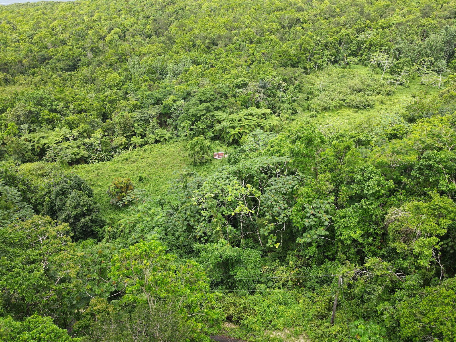 Third image of 199 Rowlandsfield in Rowlandsfield, St. Thomas, Jamaica - property is For Sale