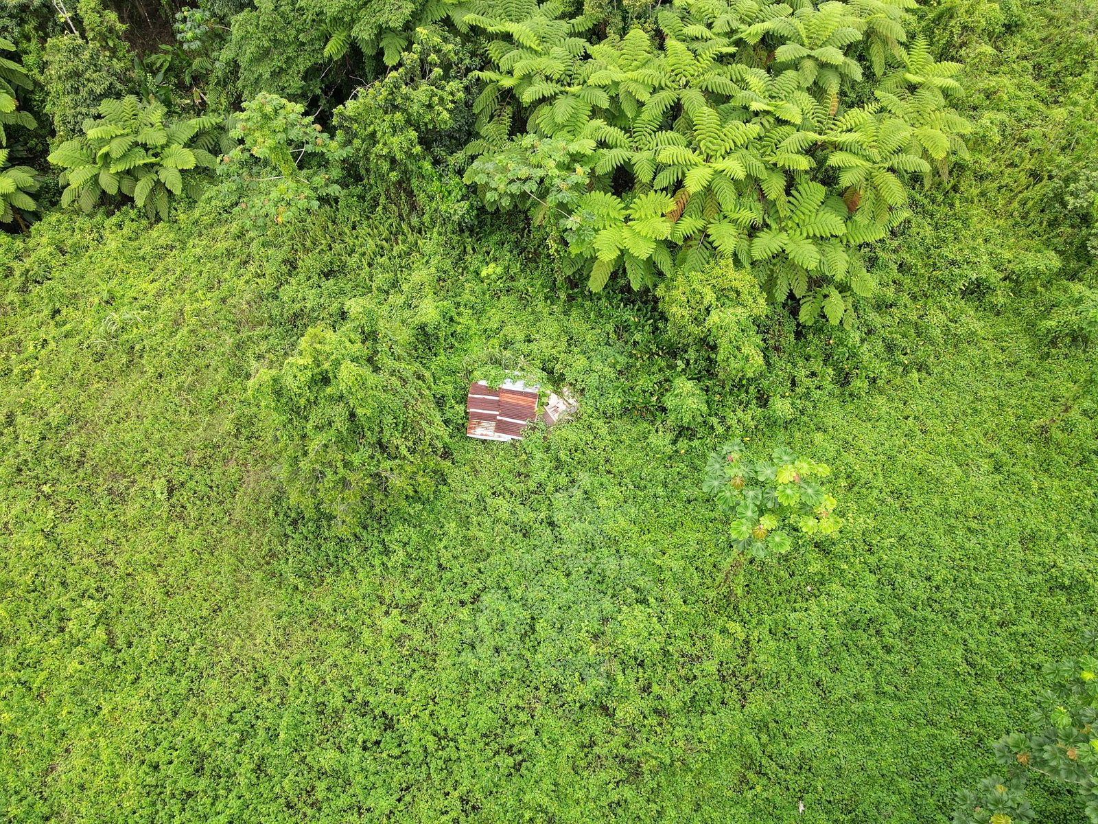 Fourth image of 199 Rowlandsfield in Rowlandsfield, St. Thomas, Jamaica - property is For Sale