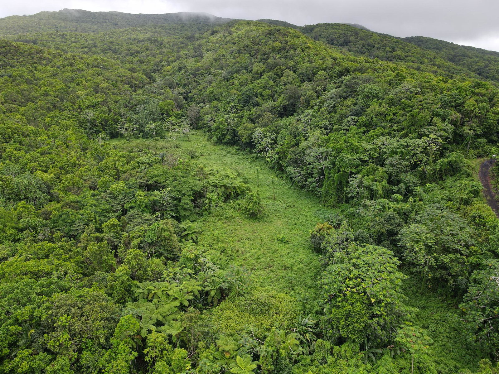 Fifth image of 199 Rowlandsfield in Rowlandsfield, St. Thomas, Jamaica - property is For Sale