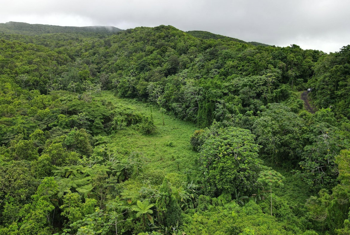 Sixth image of 199 Rowlandsfield in Rowlandsfield, St. Thomas, Jamaica - property is For Sale