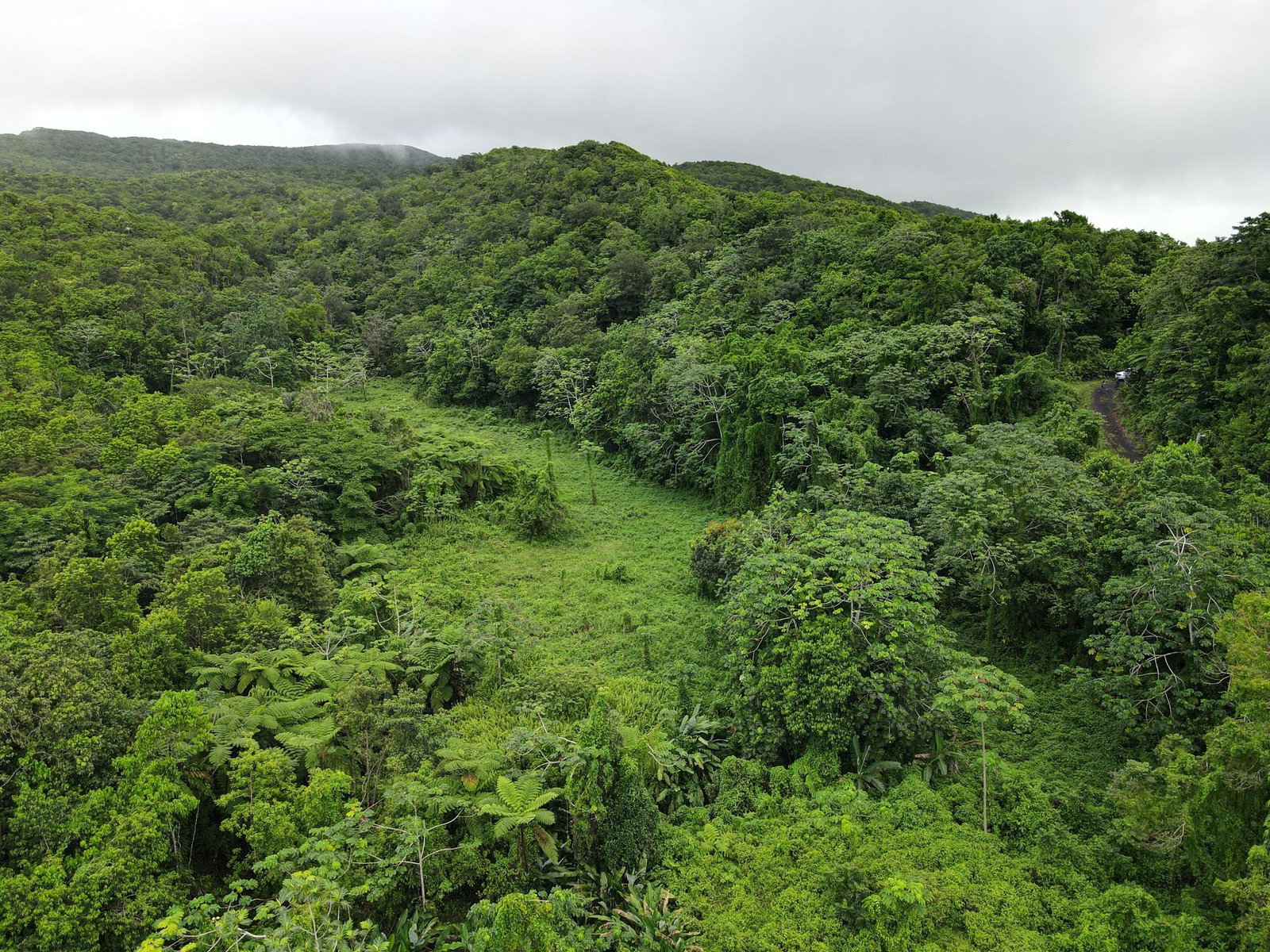 Sixth image of 199 Rowlandsfield in Rowlandsfield, St. Thomas, Jamaica - property is For Sale