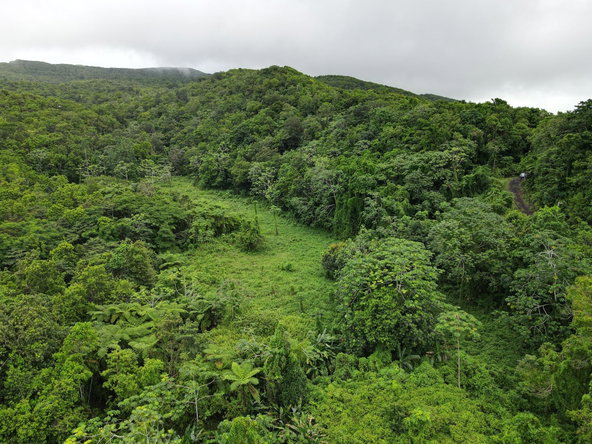 Sixth image of 199 Rowlandsfield in Rowlandsfield, St. Thomas, Jamaica - property is For Sale
