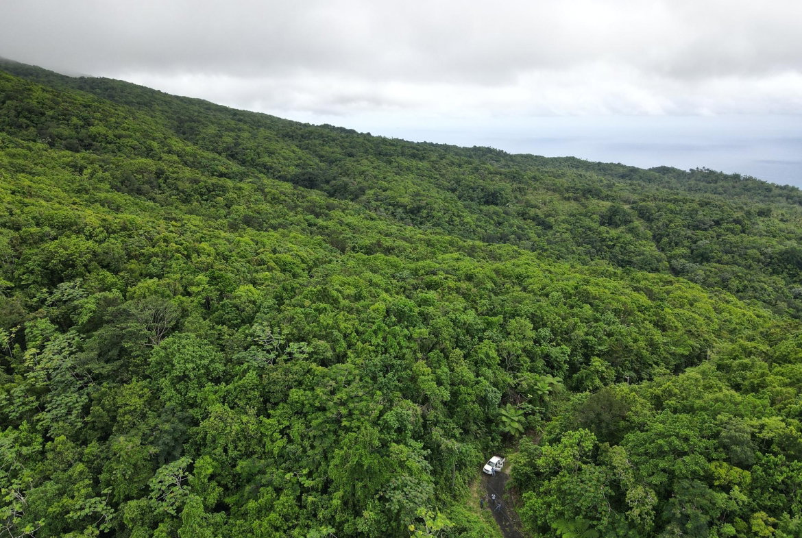 Seventh image of 199 Rowlandsfield in Rowlandsfield, St. Thomas, Jamaica - property is For Sale