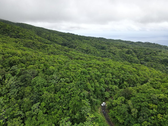 Seventh image of 199 Rowlandsfield in Rowlandsfield, St. Thomas, Jamaica - property is For Sale