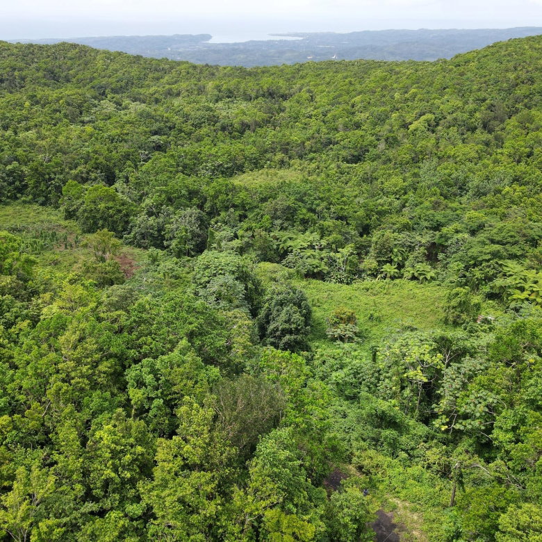 First image of 199 Rowlandsfield in Rowlandsfield, St. Thomas, Jamaica - property is For Sale