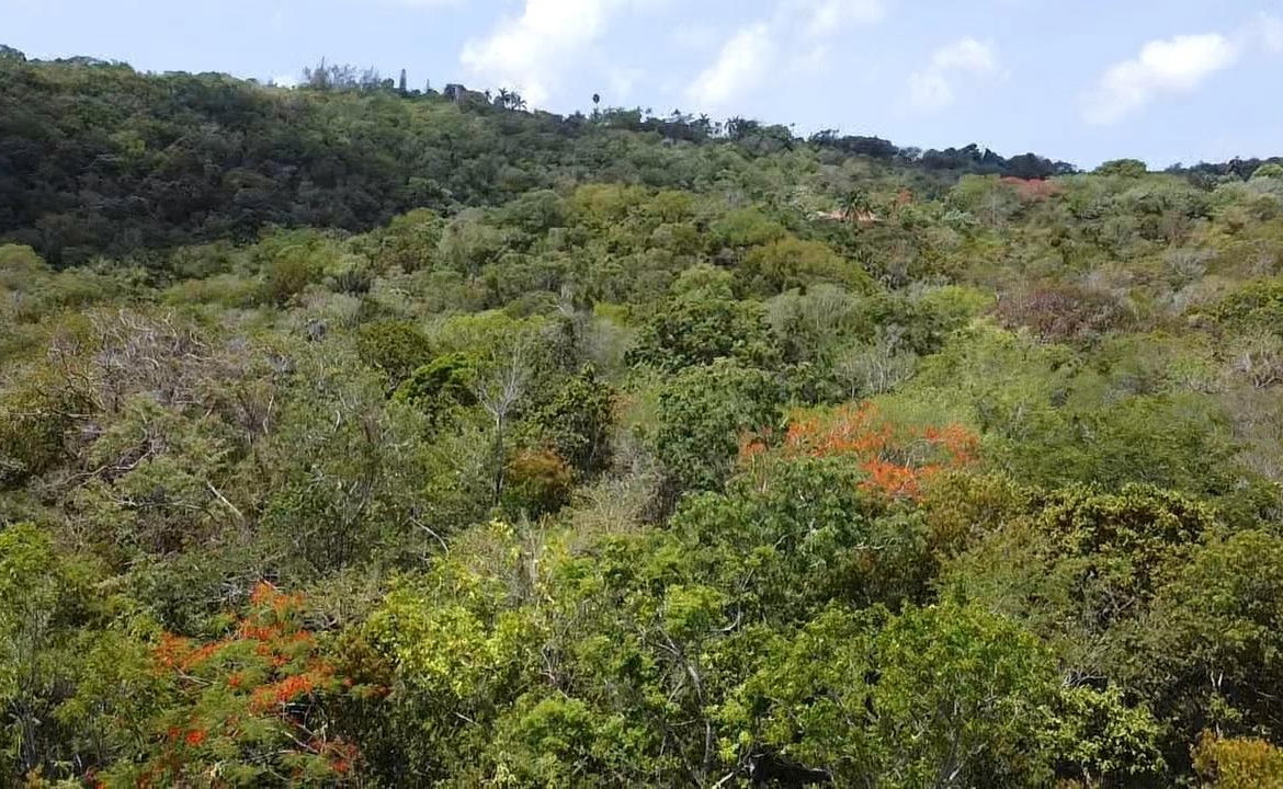 Second image of Samuel Prospect, Duncans in Arcadia Pen, Trelawny, Jamaica - property is For Sale