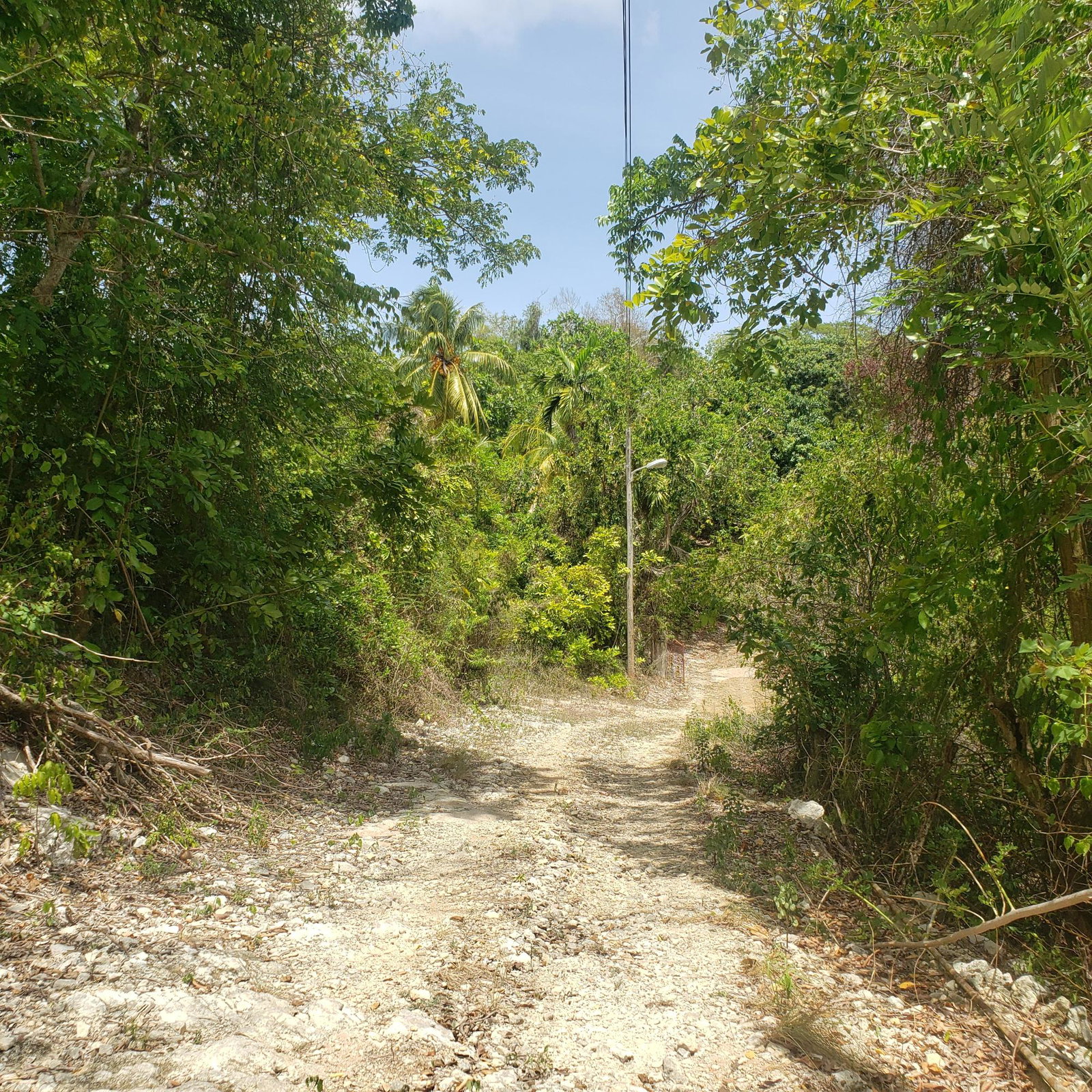 Eleventh image of Samuel Prospect, Duncans in Arcadia Pen, Trelawny, Jamaica - property is For Sale