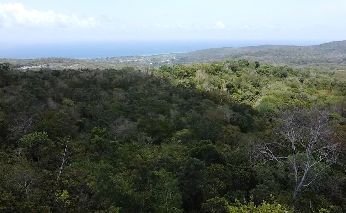 First image of Samuel Prospect, Duncans in Arcadia Pen, Trelawny, Jamaica - property is For Sale