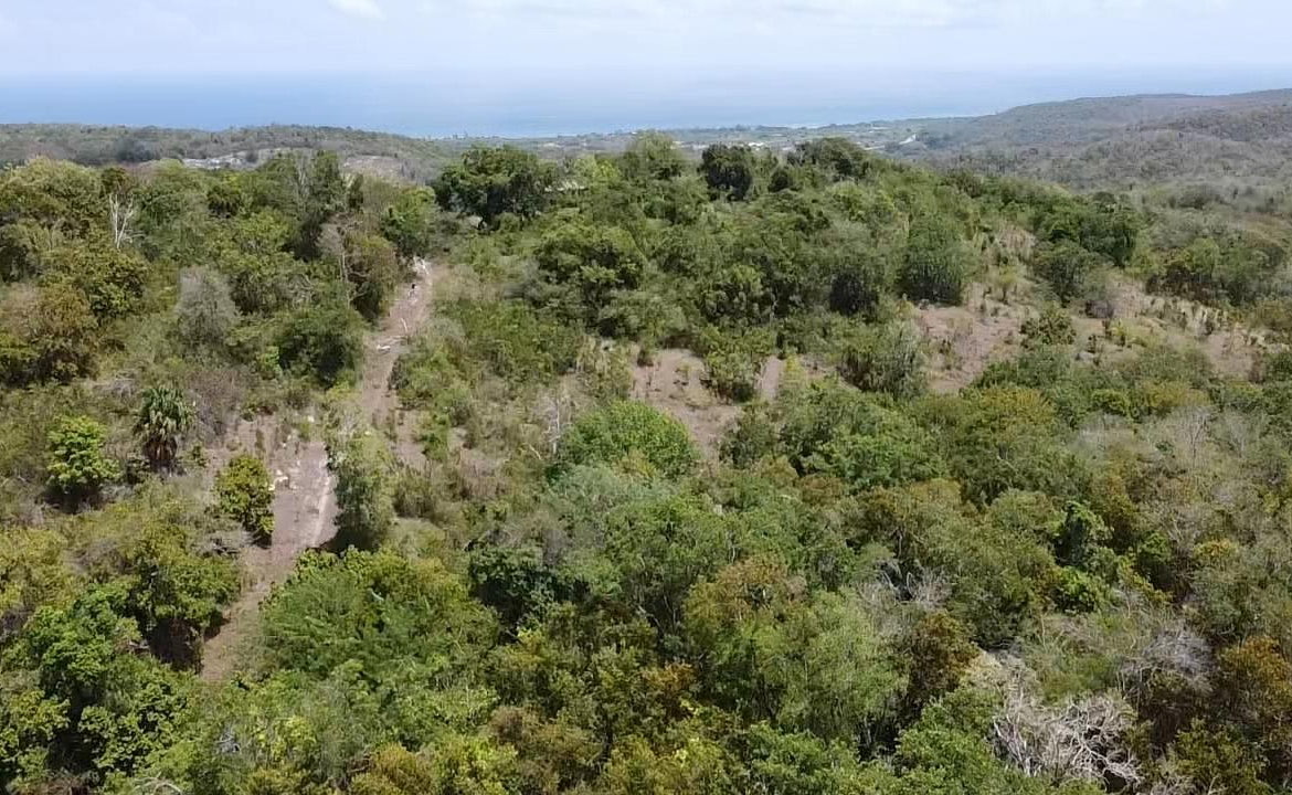 Third image of Samuel Prospect, Duncans in Arcadia Pen, Trelawny, Jamaica - property is For Sale