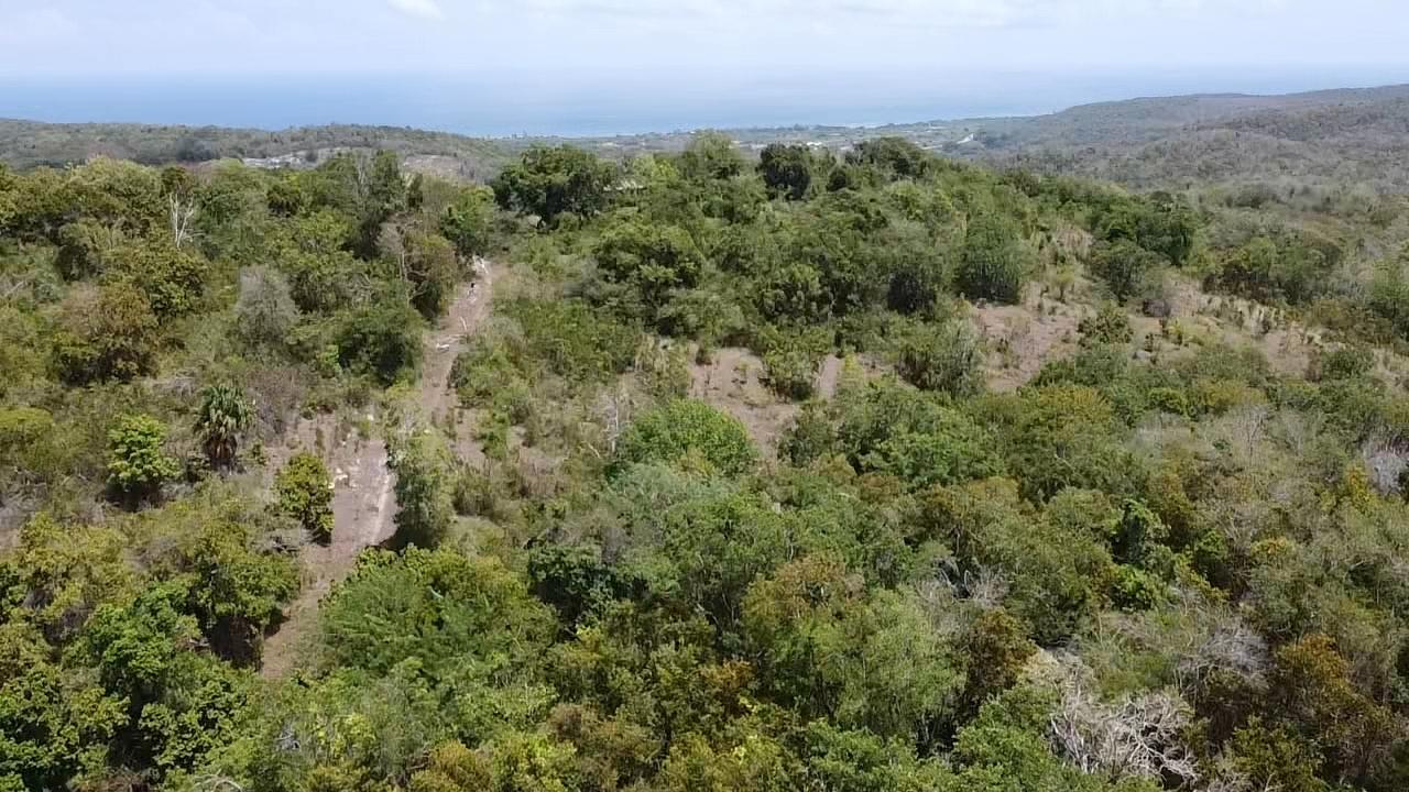 Third image of Samuel Prospect, Duncans in Arcadia Pen, Trelawny, Jamaica - property is For Sale