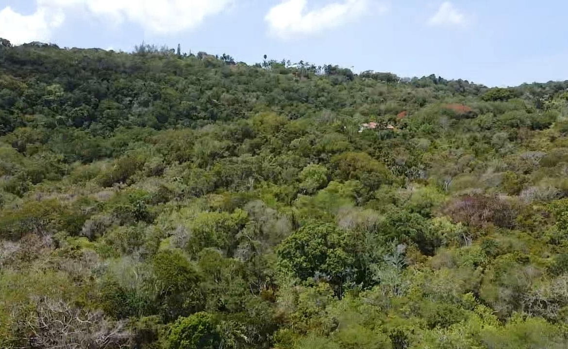 Fourth image of Samuel Prospect, Duncans in Arcadia Pen, Trelawny, Jamaica - property is For Sale