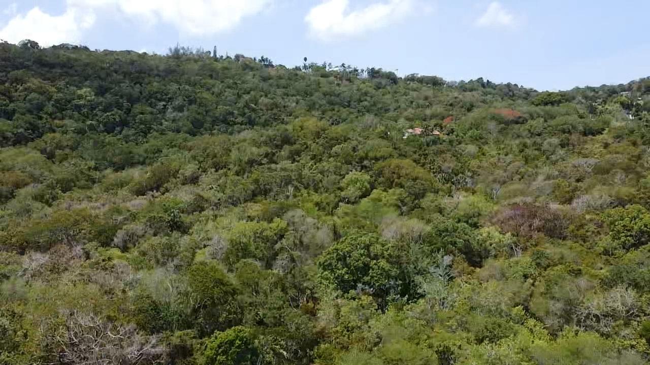 Fourth image of Samuel Prospect, Duncans in Arcadia Pen, Trelawny, Jamaica - property is For Sale