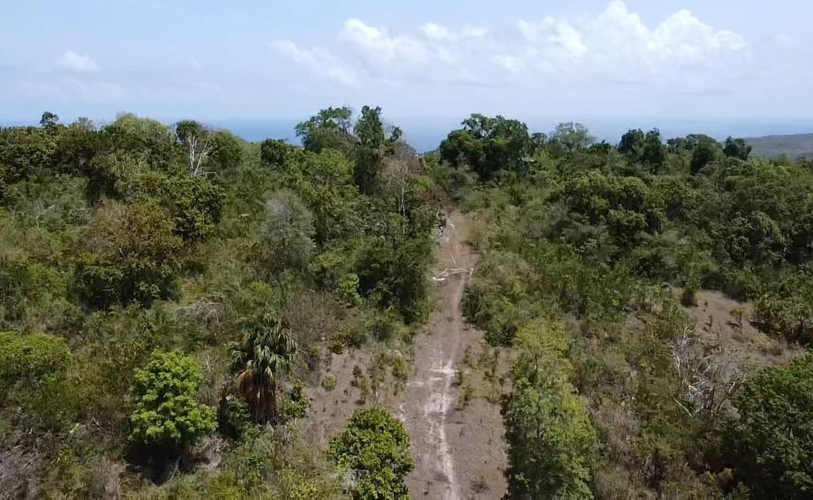 Fifth image of Samuel Prospect, Duncans in Arcadia Pen, Trelawny, Jamaica - property is For Sale