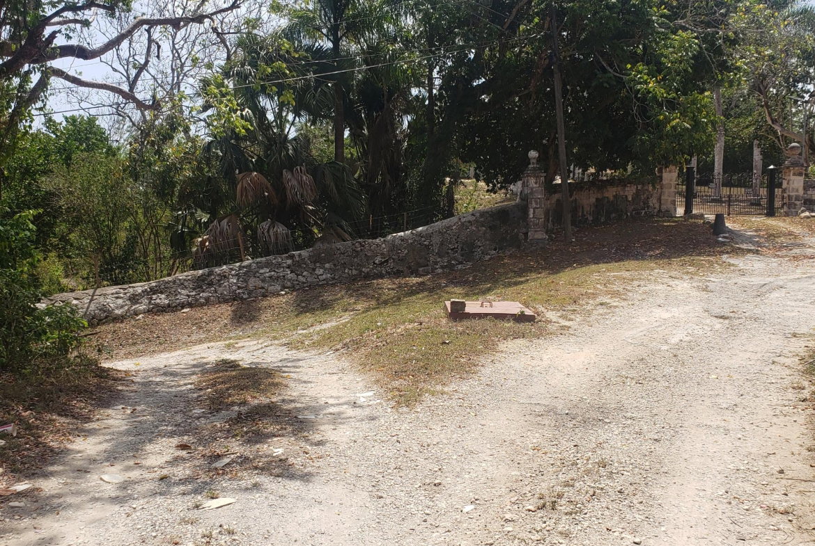 Sixth image of Samuel Prospect, Duncans in Arcadia Pen, Trelawny, Jamaica - property is For Sale