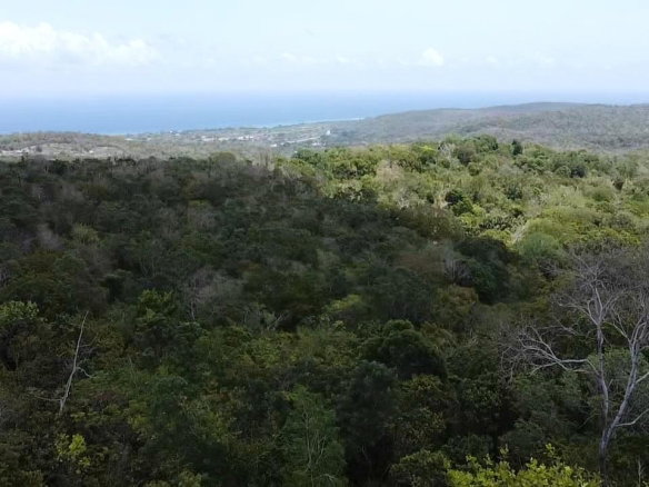 First image of Samuel Prospect, Duncans in Arcadia Pen, Trelawny, Jamaica - property is For Sale