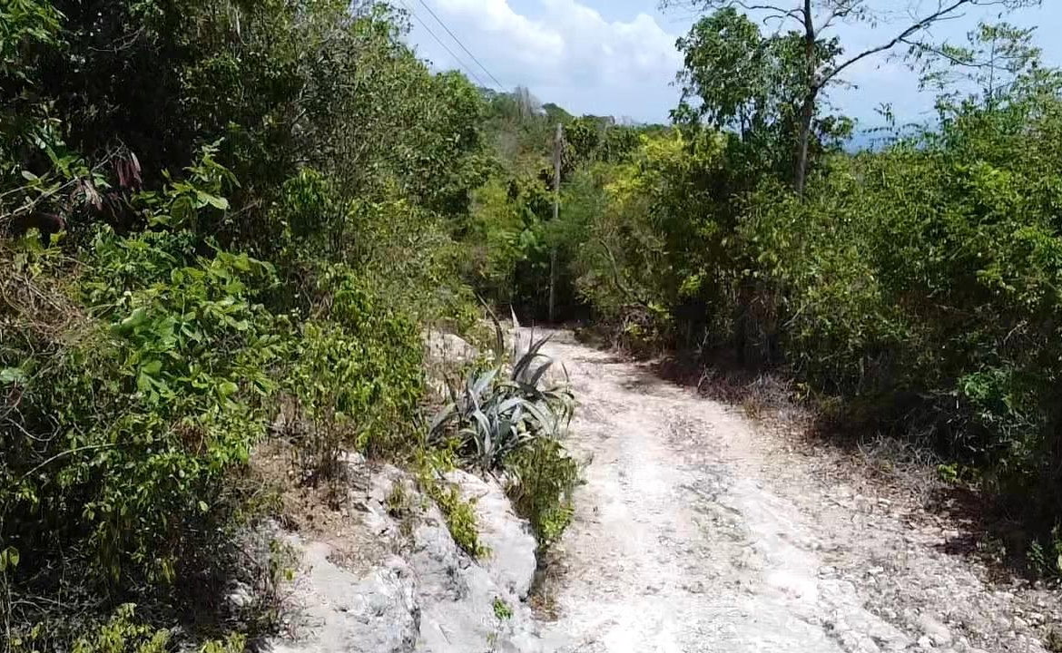 Seventh image of Samuel Prospect, Duncans in Arcadia Pen, Trelawny, Jamaica - property is For Sale